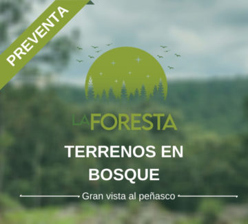 Desarrollo La Foresta