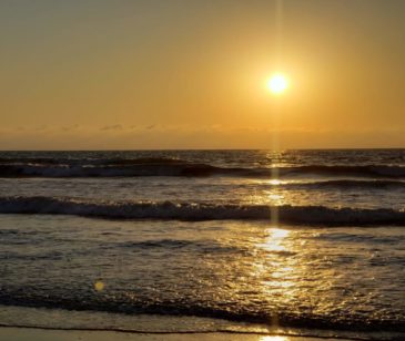 Playa-los-caracoles-terrenos-en-venta-novillero-nayarit