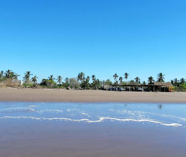 Nayarit_Novillero_Desarrollos_Frente_Al_Mar