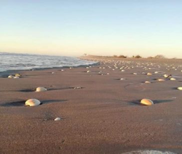 Playa_Los_Caracoles_Terrenos_En_Venta