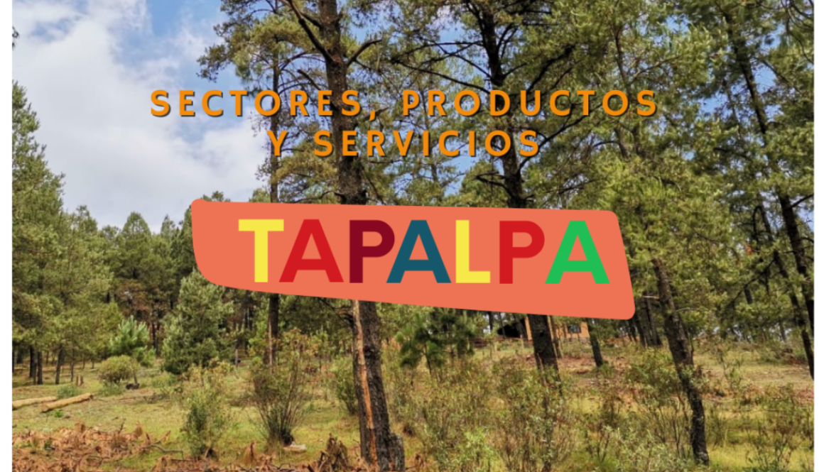 sectores, productos y servicios