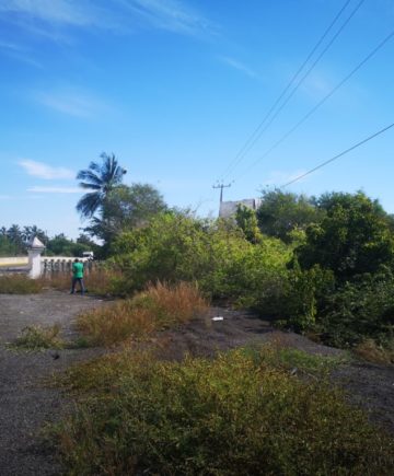 Visita a Terreno en Playa Manzanillo