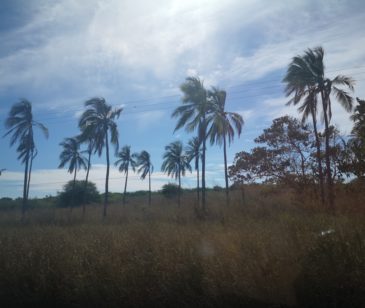 Terrenos en Manzanillo