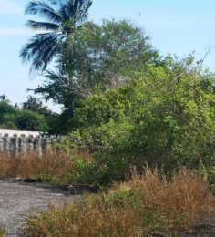 Alrededor de Terreno en Playa Manzanillo