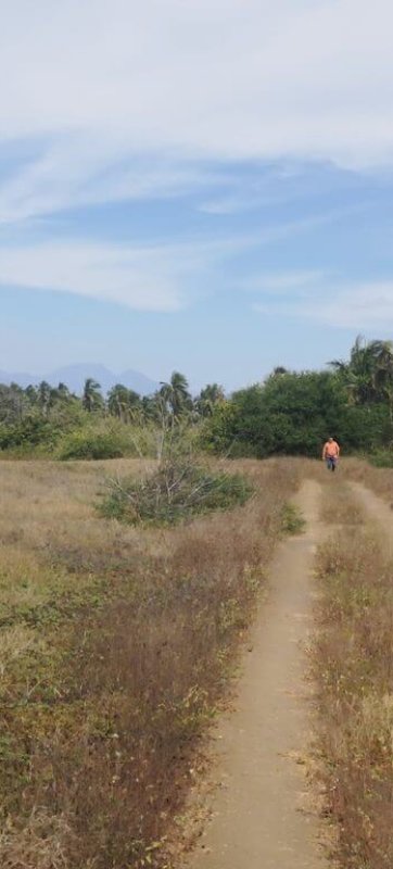 Camino hacia terreno en Manzanillo