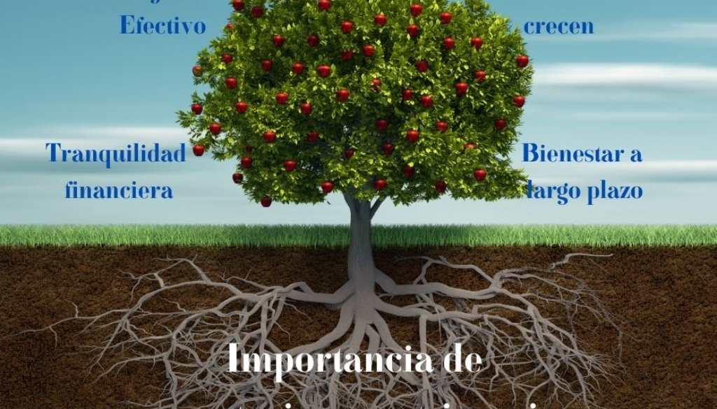 Construir tu patrimonio