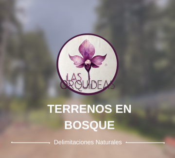 Desarrollo Las Orquideas