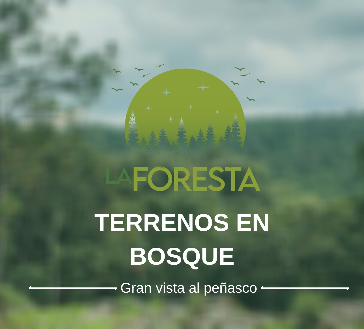 La Foresta Tapalpa