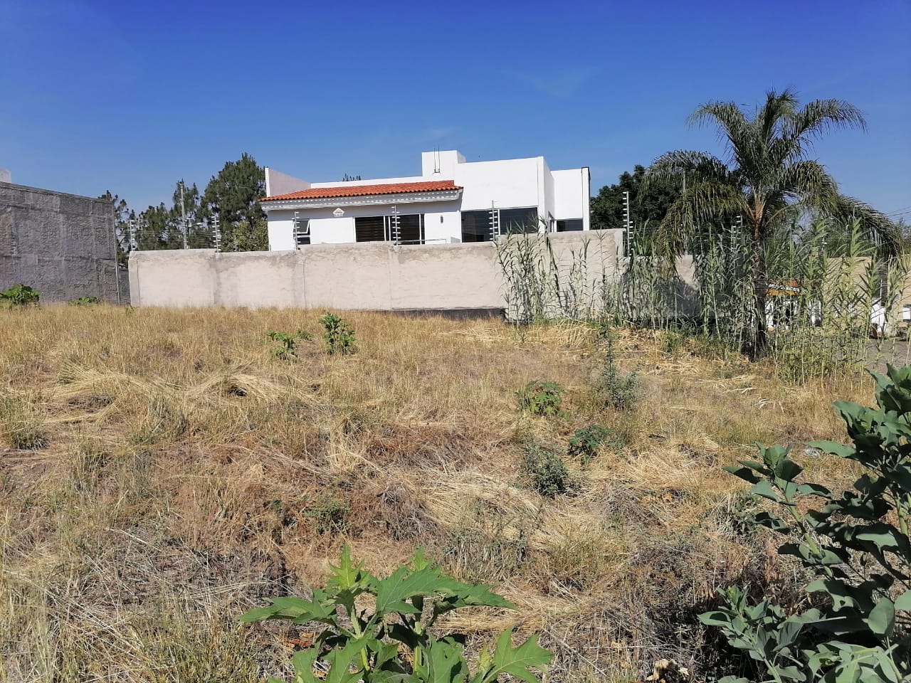 terreno en venta en tlajomulco