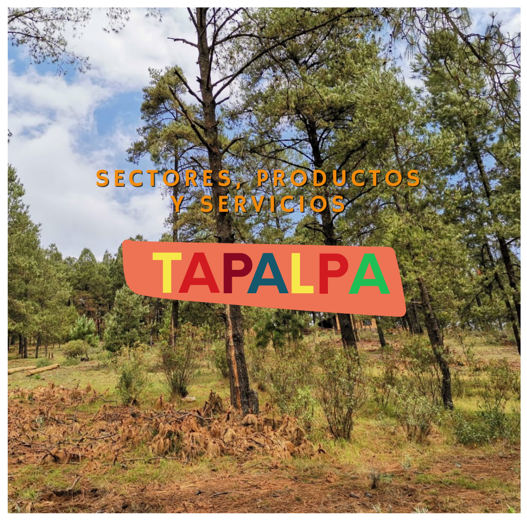 sectores, productos y servicios