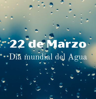 Día Mundial del Agua