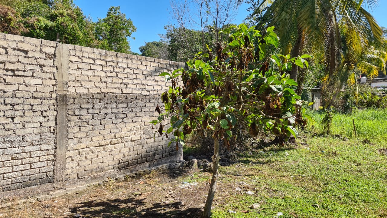Terreno en San Blas