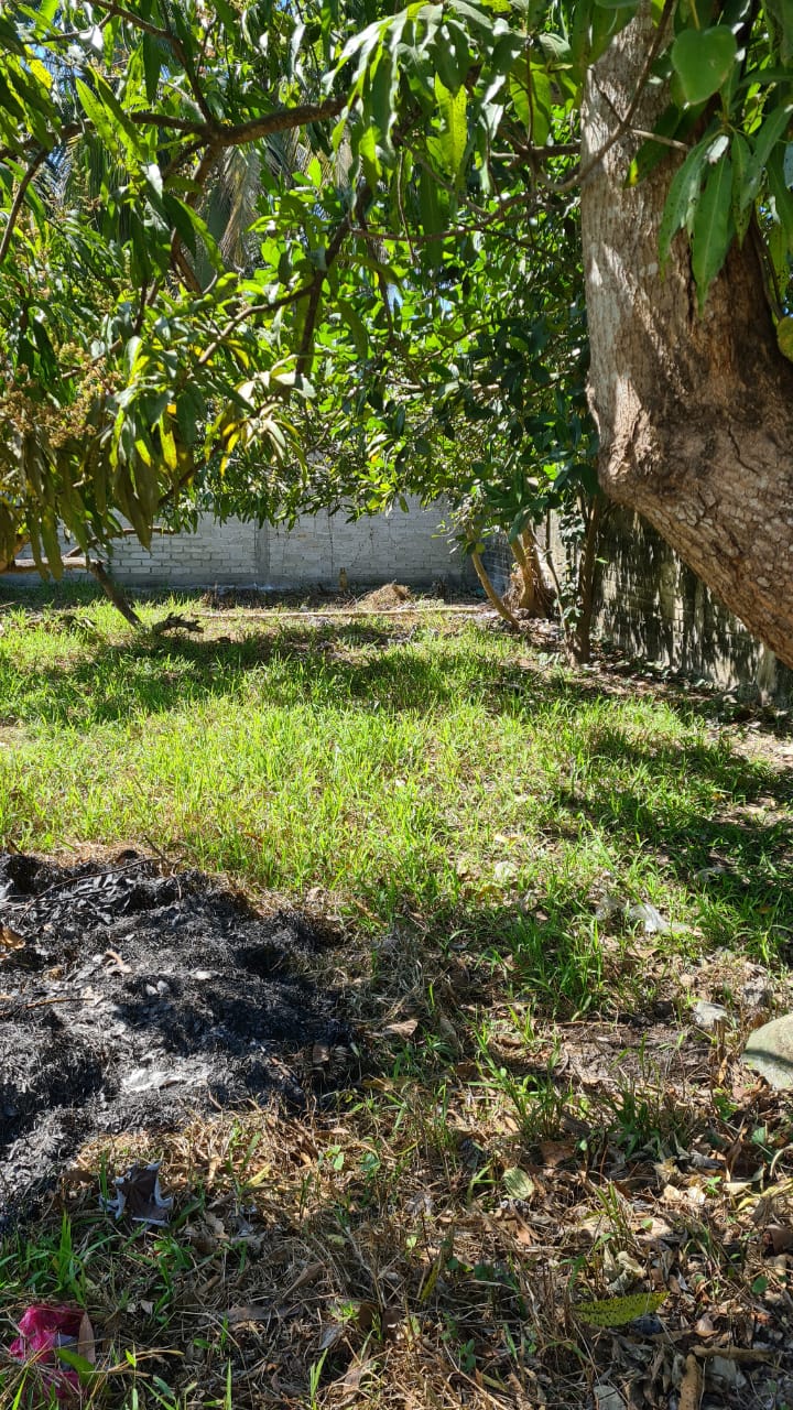 Terreno en San Blas
