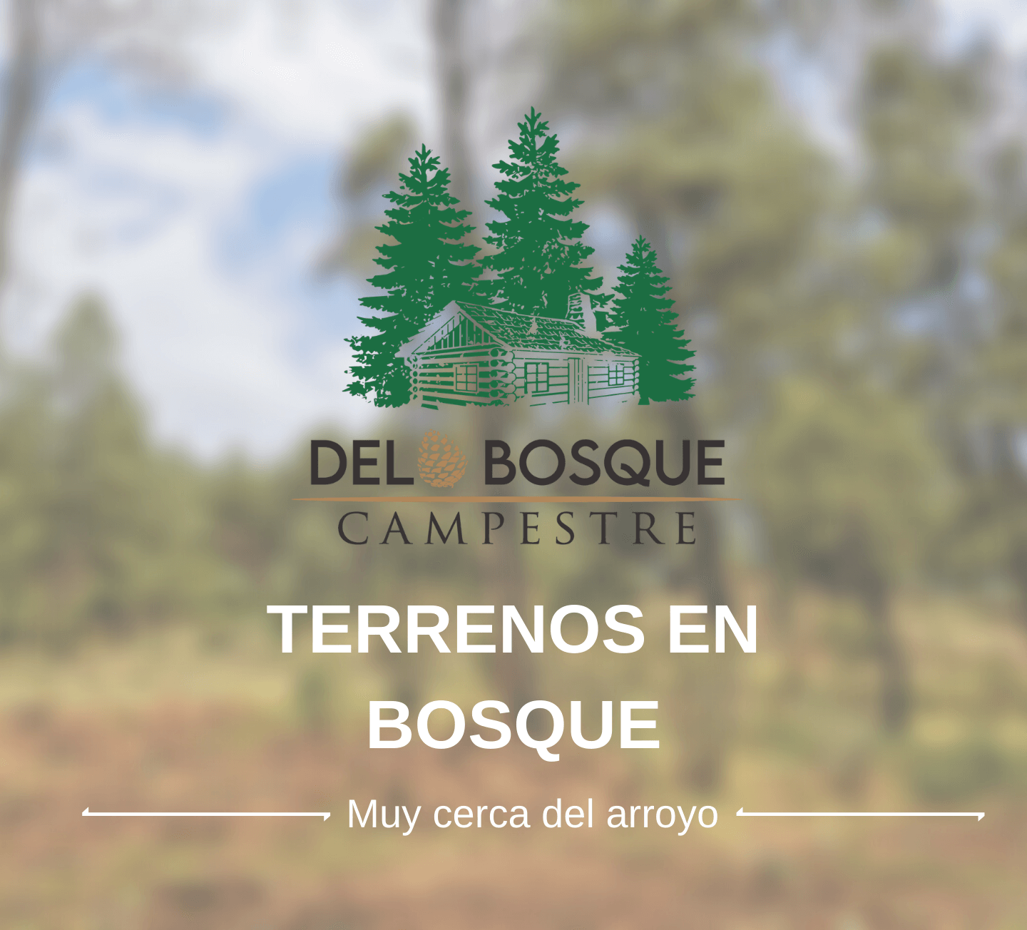 Del Bosque Campestre Tapalpa