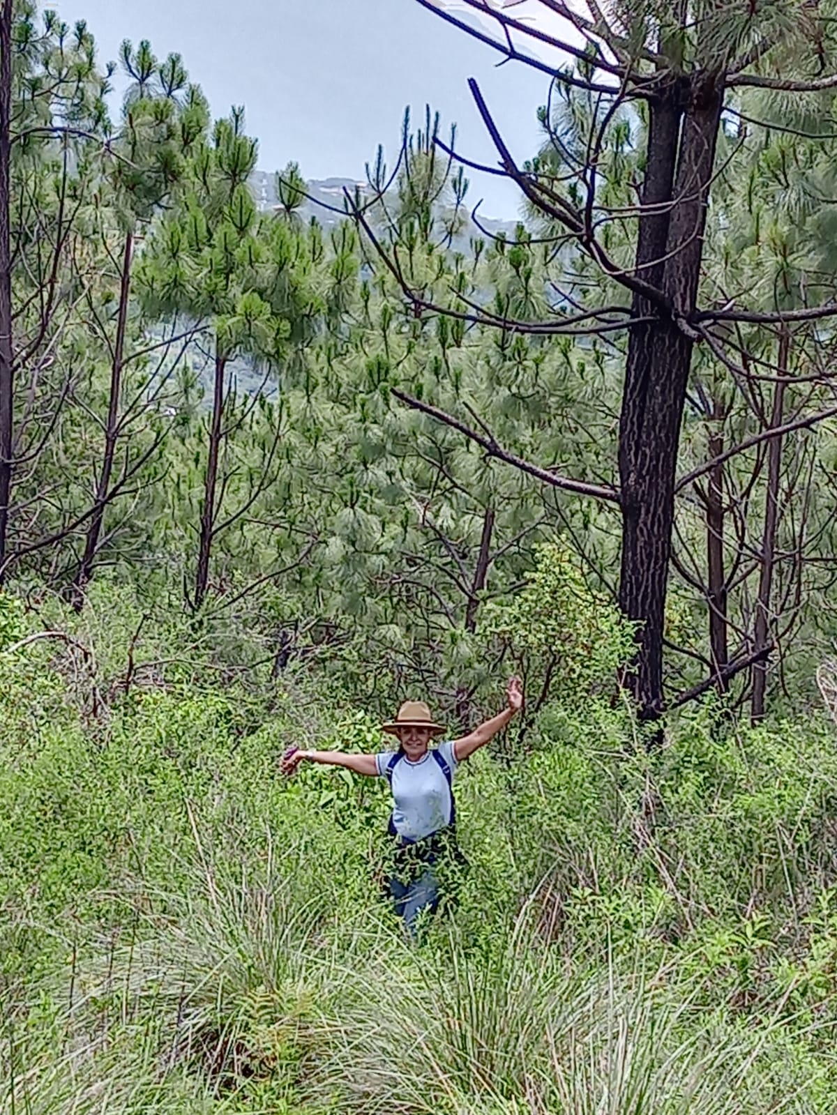 La Foresta Desarrollo en Tapalpa