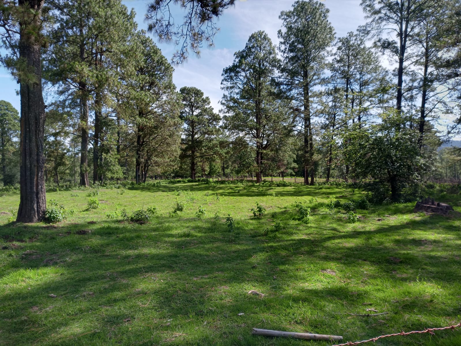 La Foresta Tapalpa Jalisco