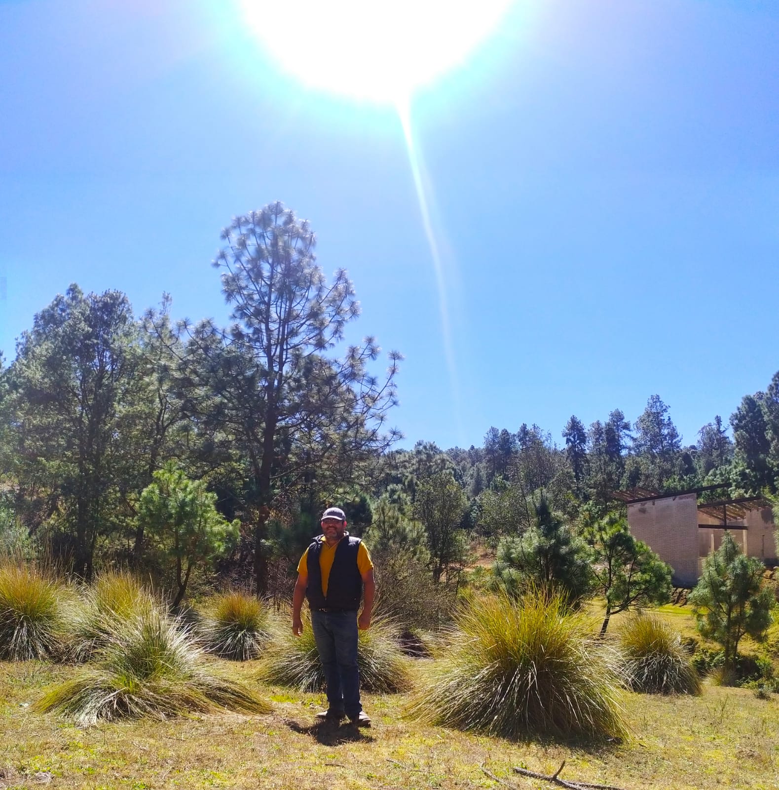 Desarrollo Bosque La Cima