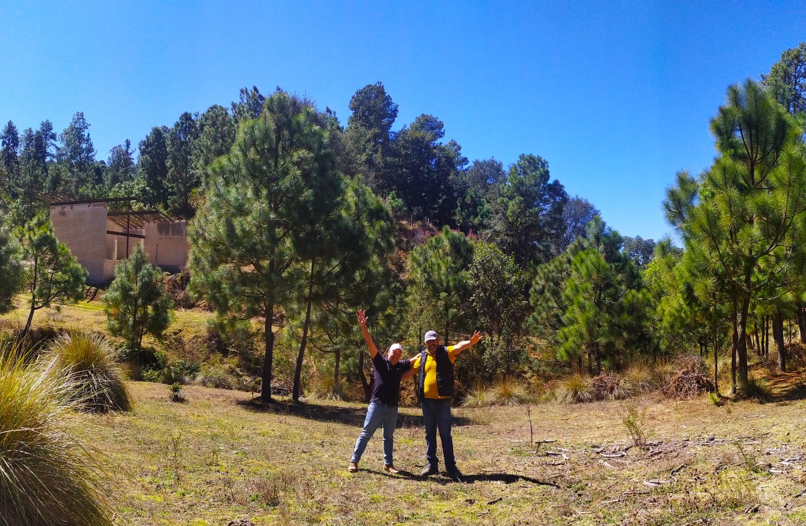 Desarrollo Bosque La Cima