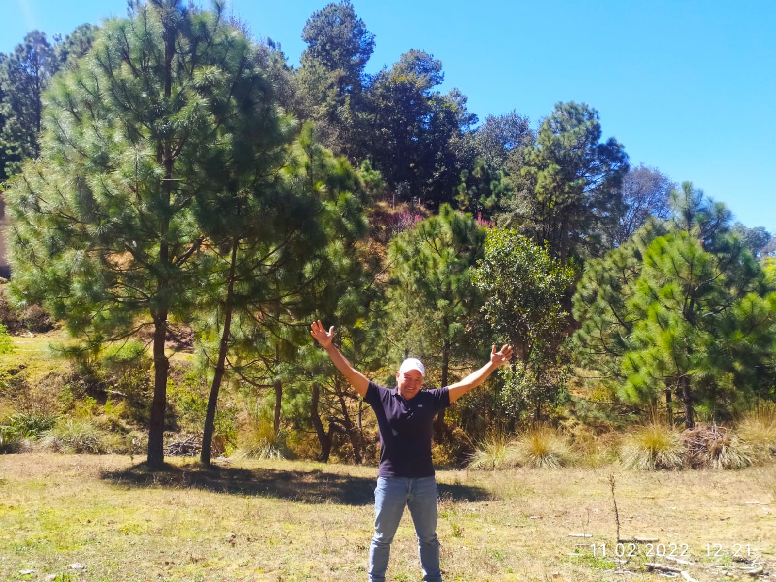 Desarrollo Bosque La Cima