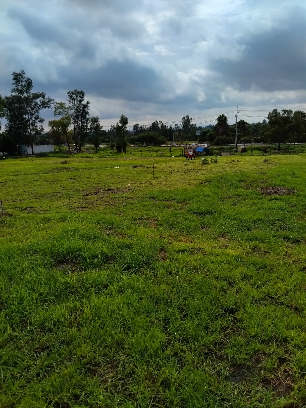 La Foresta Desarrollo en Tapalpa