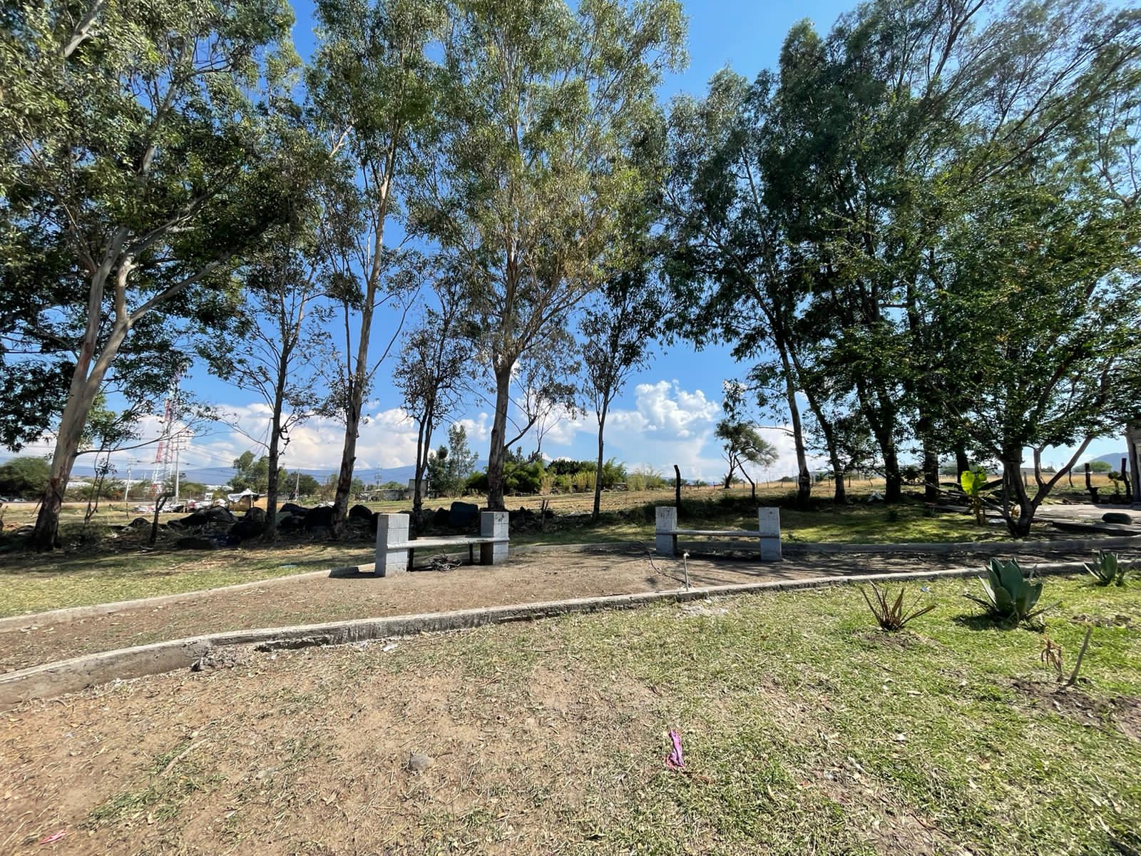 Desarrollo Los Olivos