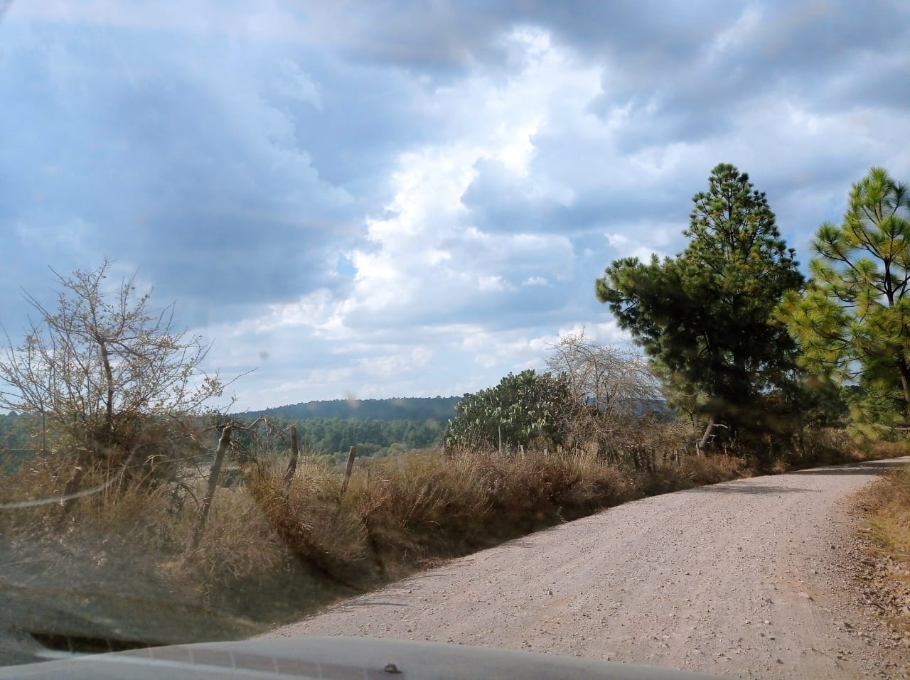 Terrenos Reserva De Atemajac