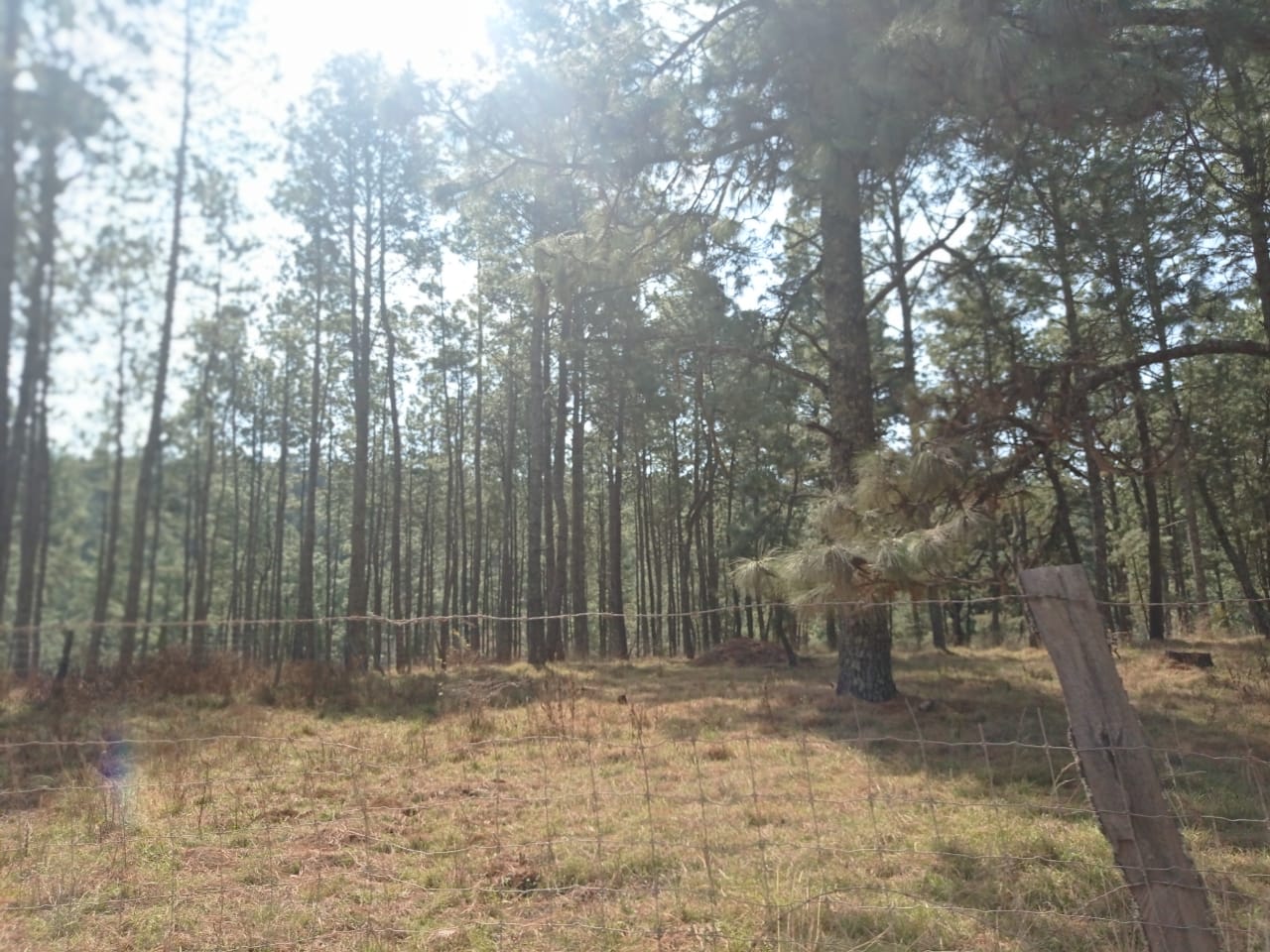 Terrenos Reserva De Atemajac