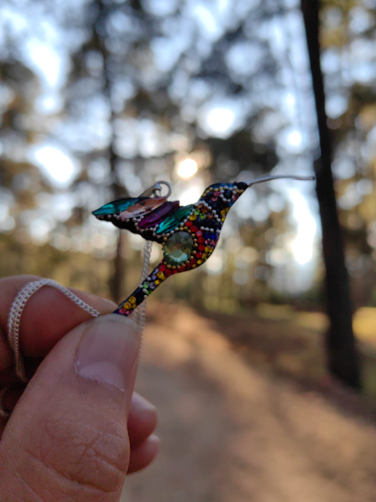 Desarrollo El Colibri